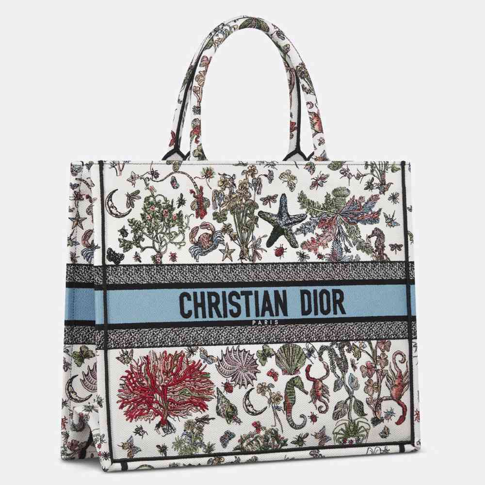 Dior Large Book Tote Bag in Multicolor Cabinet de Curiosites Embroidery