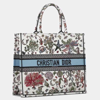 Dior Large Book Tote Bag in Multicolor Cabinet de Curiosites Embroidery