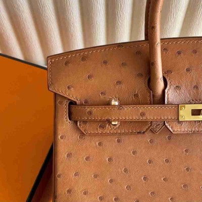 Hermes Birkin 25 Retourne Handmade Bag in Gold Ostrich Leather