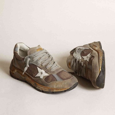 Golden Goose Dad-Star Shoes In Dove Gray Mesh And Suede