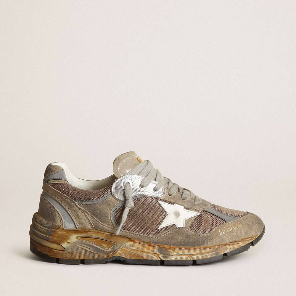 Golden Goose Dad-Star Shoes In Dove Gray Mesh And Suede